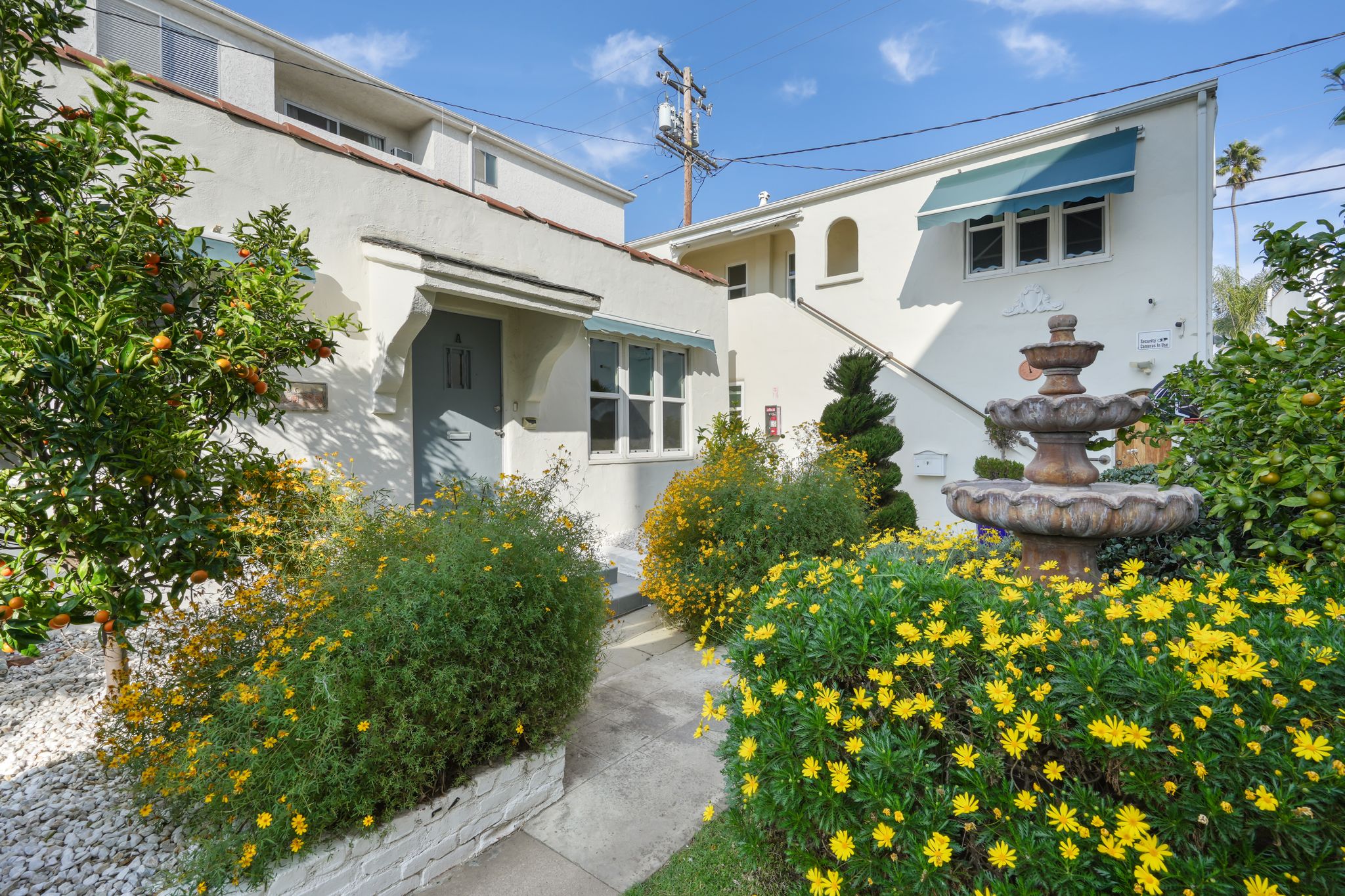 Video Tour Photo